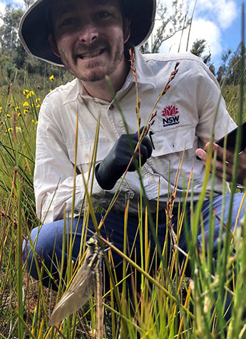 A giant dragonfly in front of NSW DCCEEW Ecohydrologist Joe Cairns.