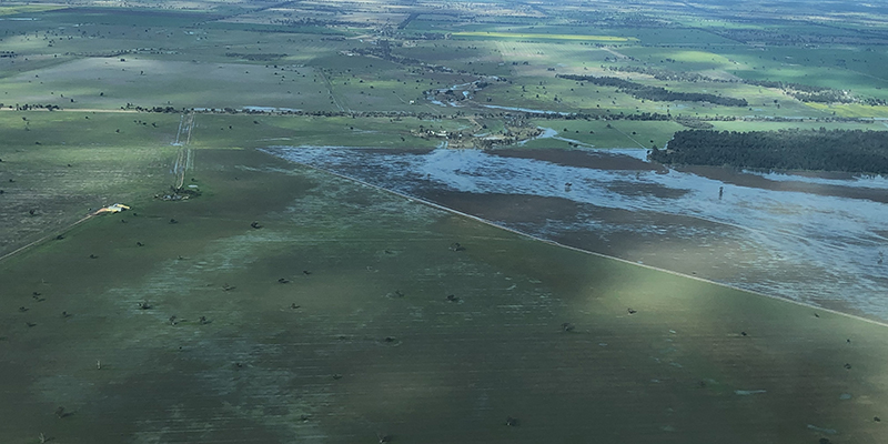 Flood affected paddocks west of Dubbo.