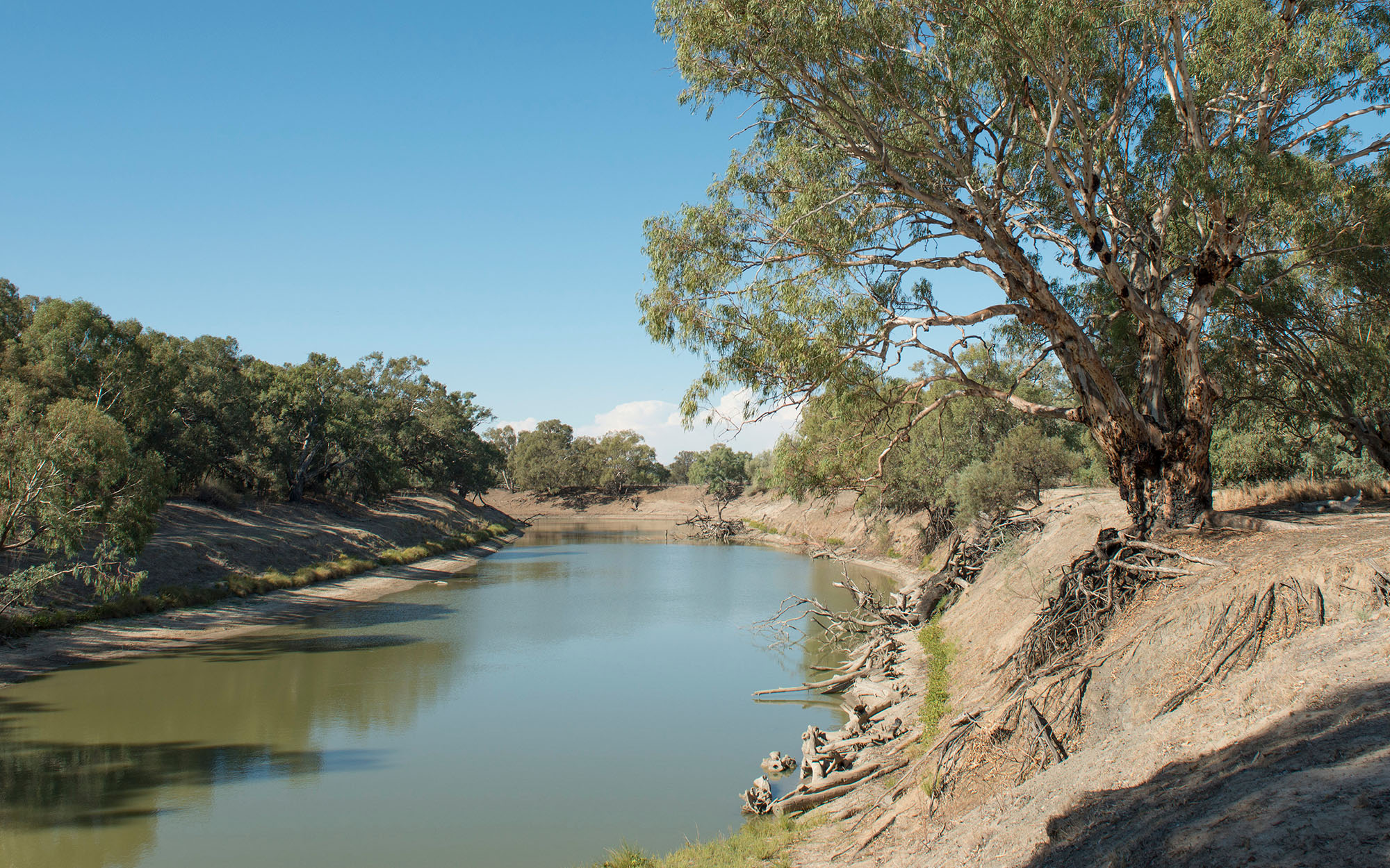 Darling River near Wilcannia in New South Wales.