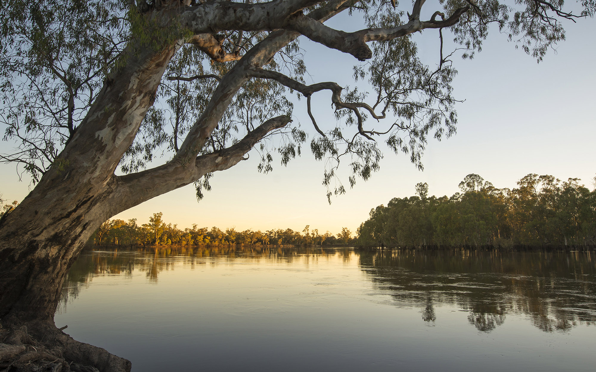  Wetlands Sunset, Mid Murray River. Image credit: John Spencer