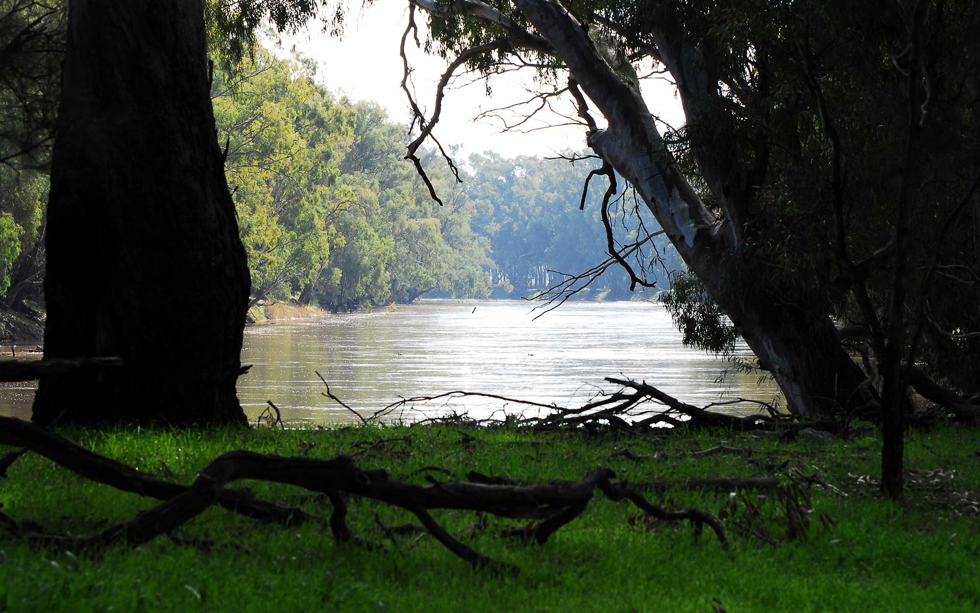 Murrumbidgee River at Wagga Wagga 