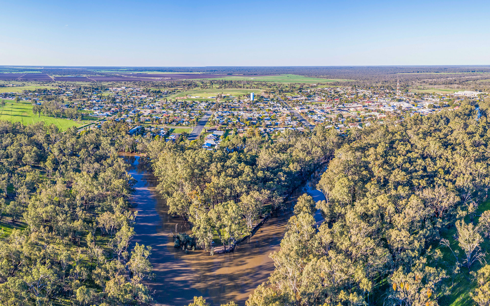 Aerial view of the Murray River with trees along the bank snaking it's way around a town on the background