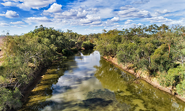 Small lazy fresh water Gwydir river in Narrabri shire around Moree town with gumtrees growing on shores under blue sky in arid climate of Australian outback.