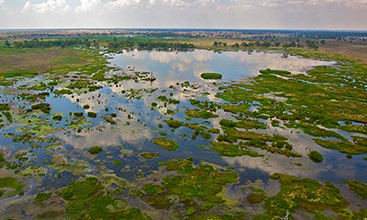 Views of the Macquarie south marshes, Macquarie lagoon. Image courtesy of Department of Environment, Energy and Science.
