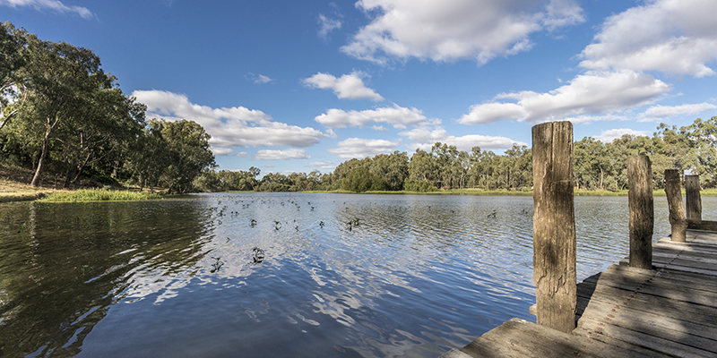 Scenic grounds of Mary Brand Park along the Mehi River in Moree.