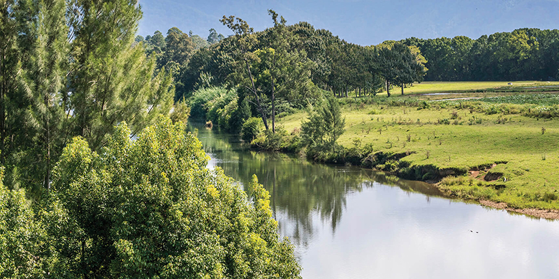 North Coast Regional Water Strategy.