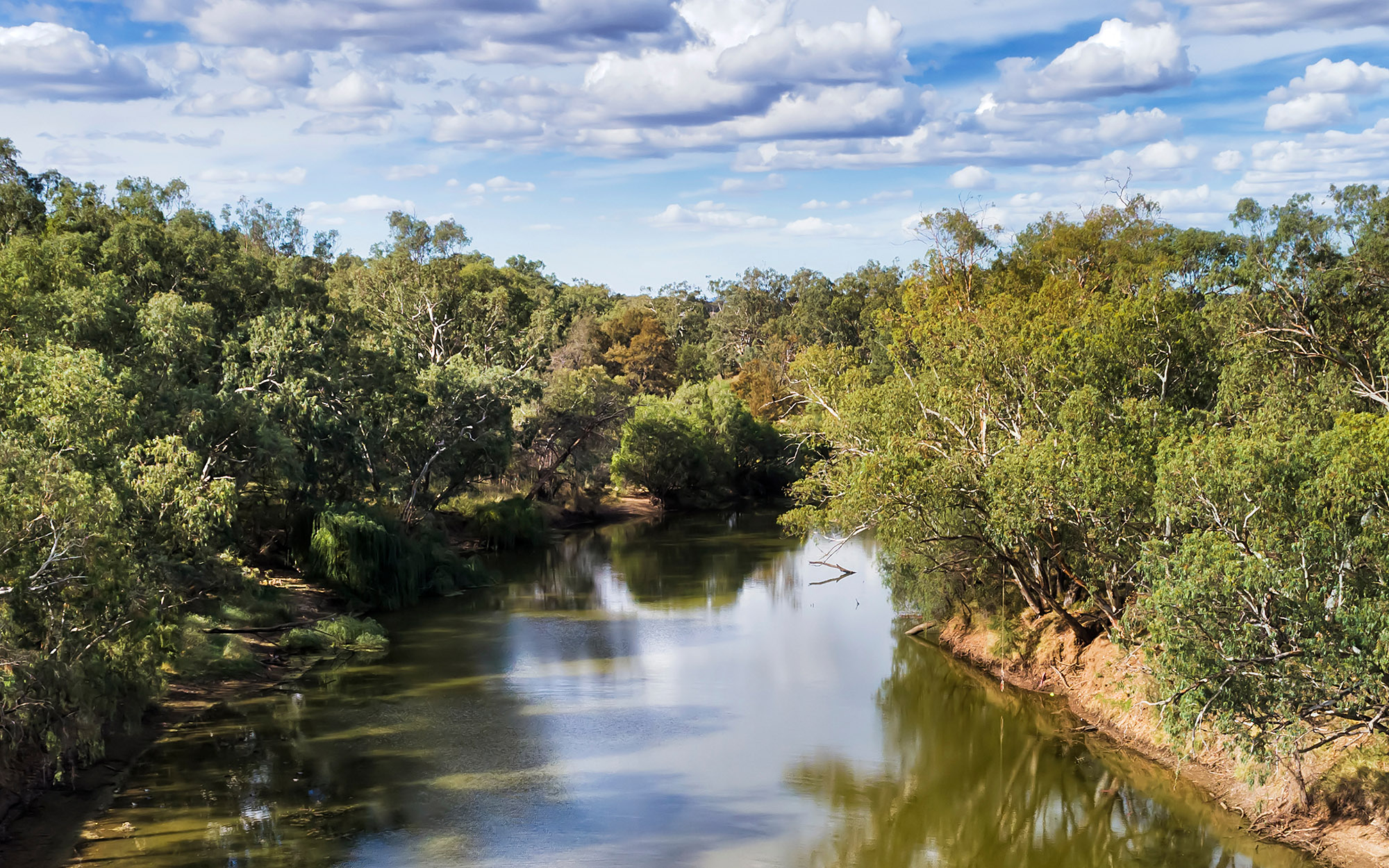 Gwydir River in Narrabri shire around Moree town, New South Wales.