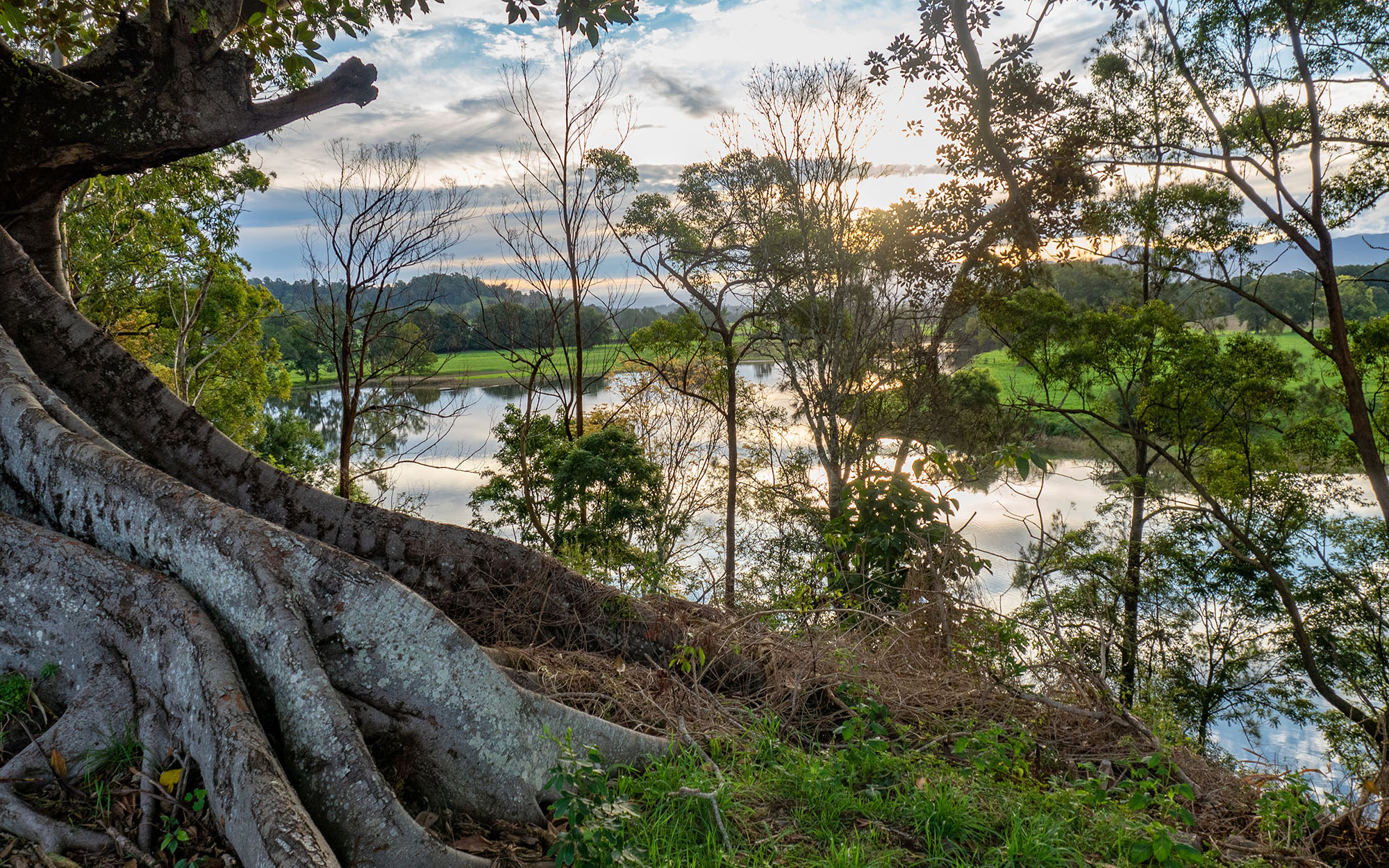 Bellinger River on the Mid North Coast in New South Wales.