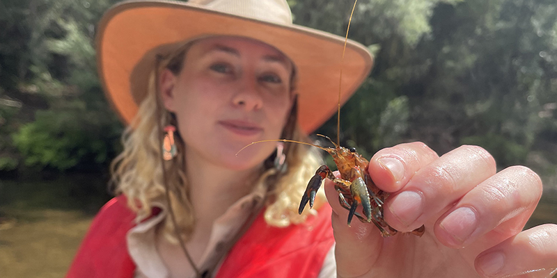 Dr Sarah O’Hea Miller with a small spiny freshwater crayfish