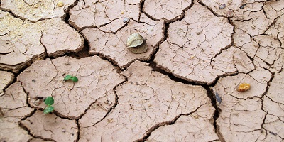 Greater Sydney Drought Response Plan