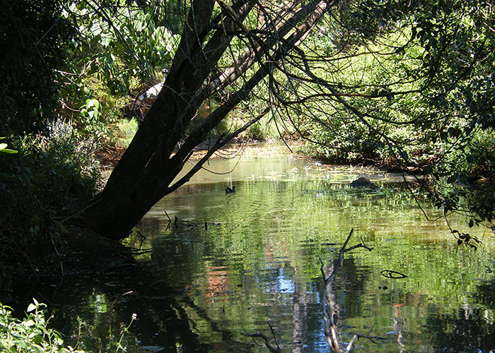 Richmond River valley.