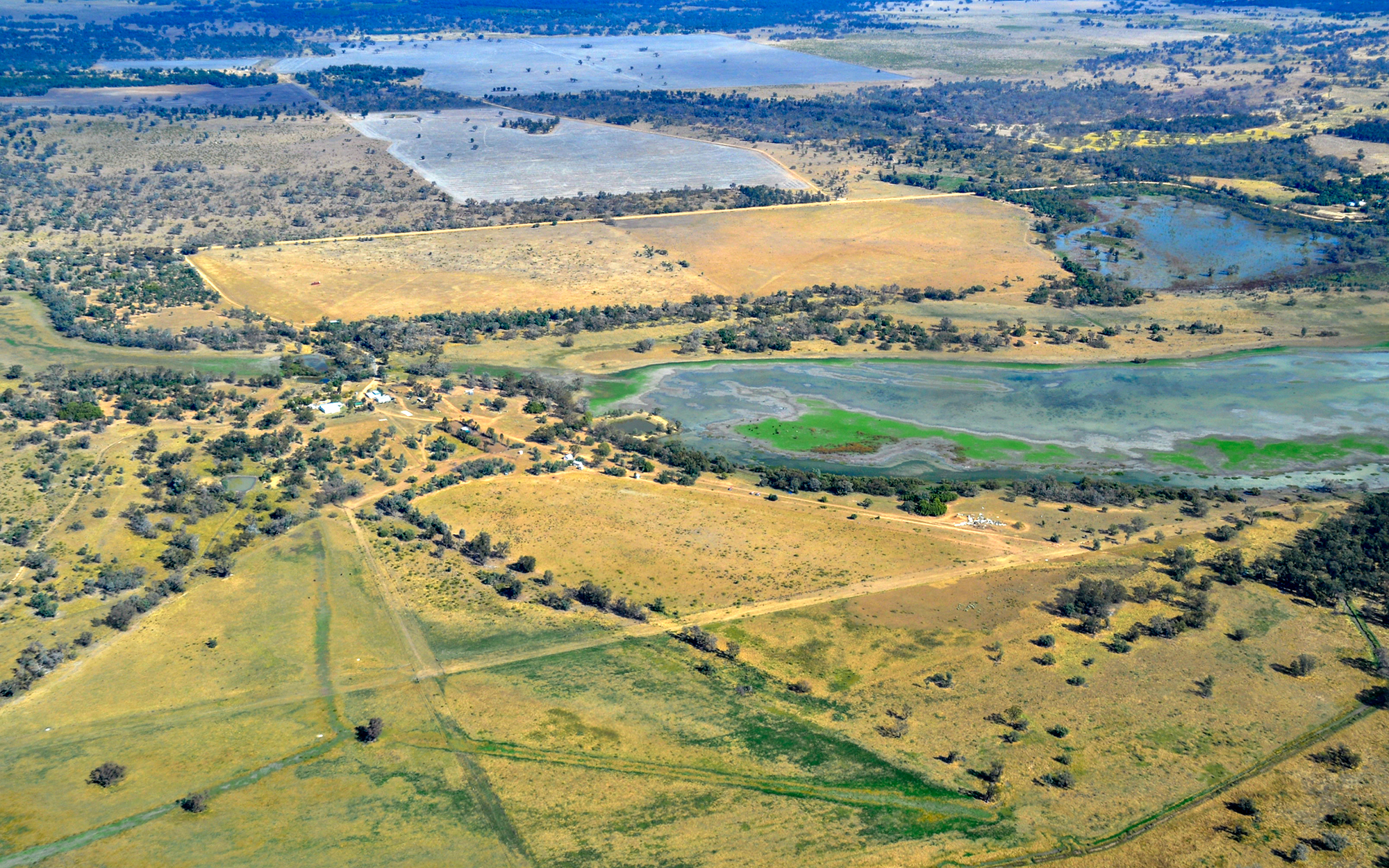 Gwydir Wetlands Environmental Water and Floodplains Moree, farms and agriculture