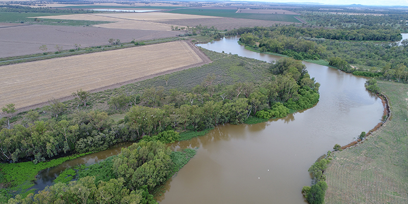 Tareelaroi Weir in the Gwydir region.