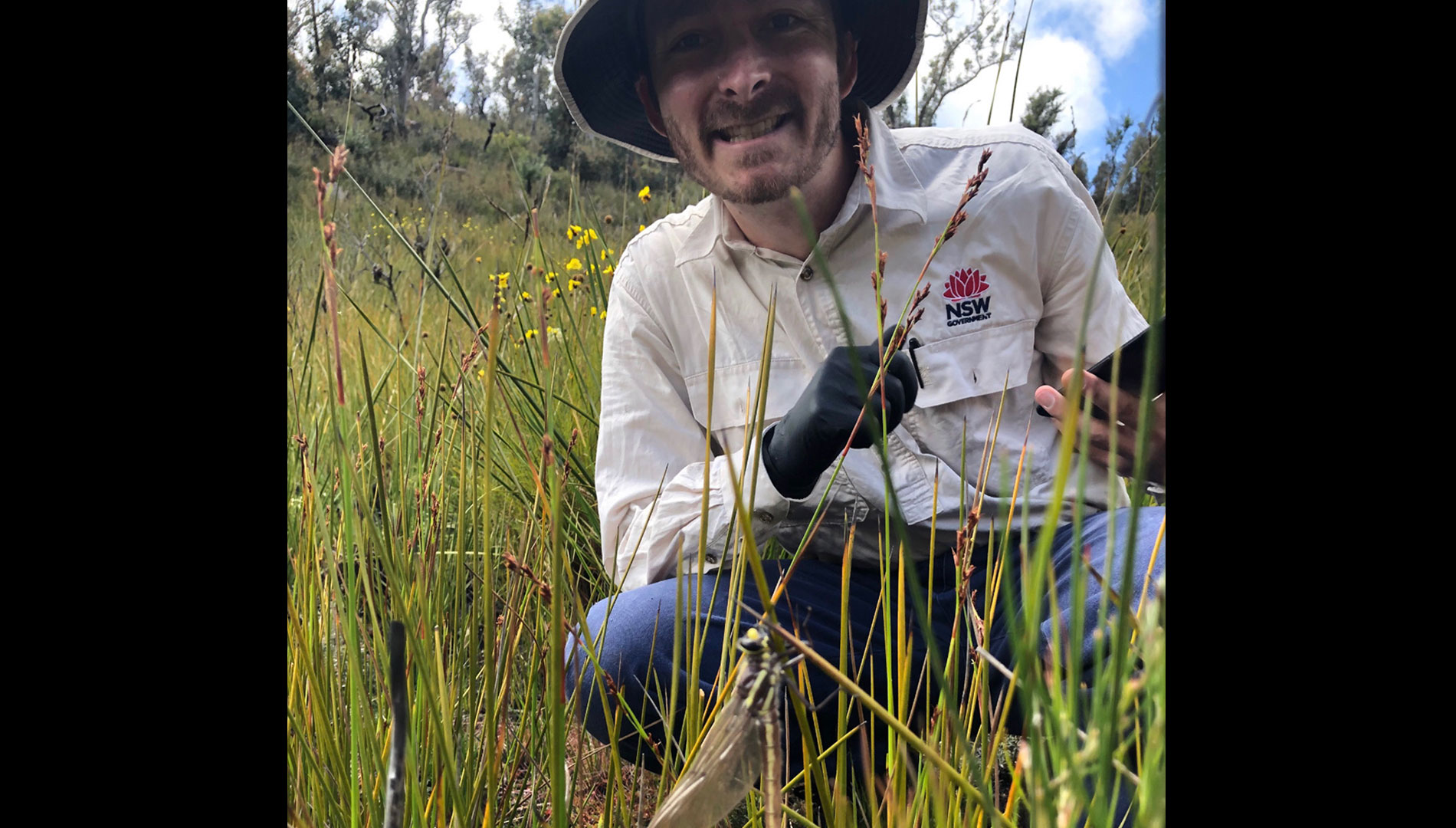 DPE scientist Joe Cairns and a recently emerged giant dragonfly.