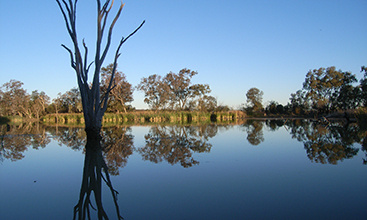 Gingham Waterhole, Gwydir Wetlands, Northern NSW - Image credit: Sharon Bowen