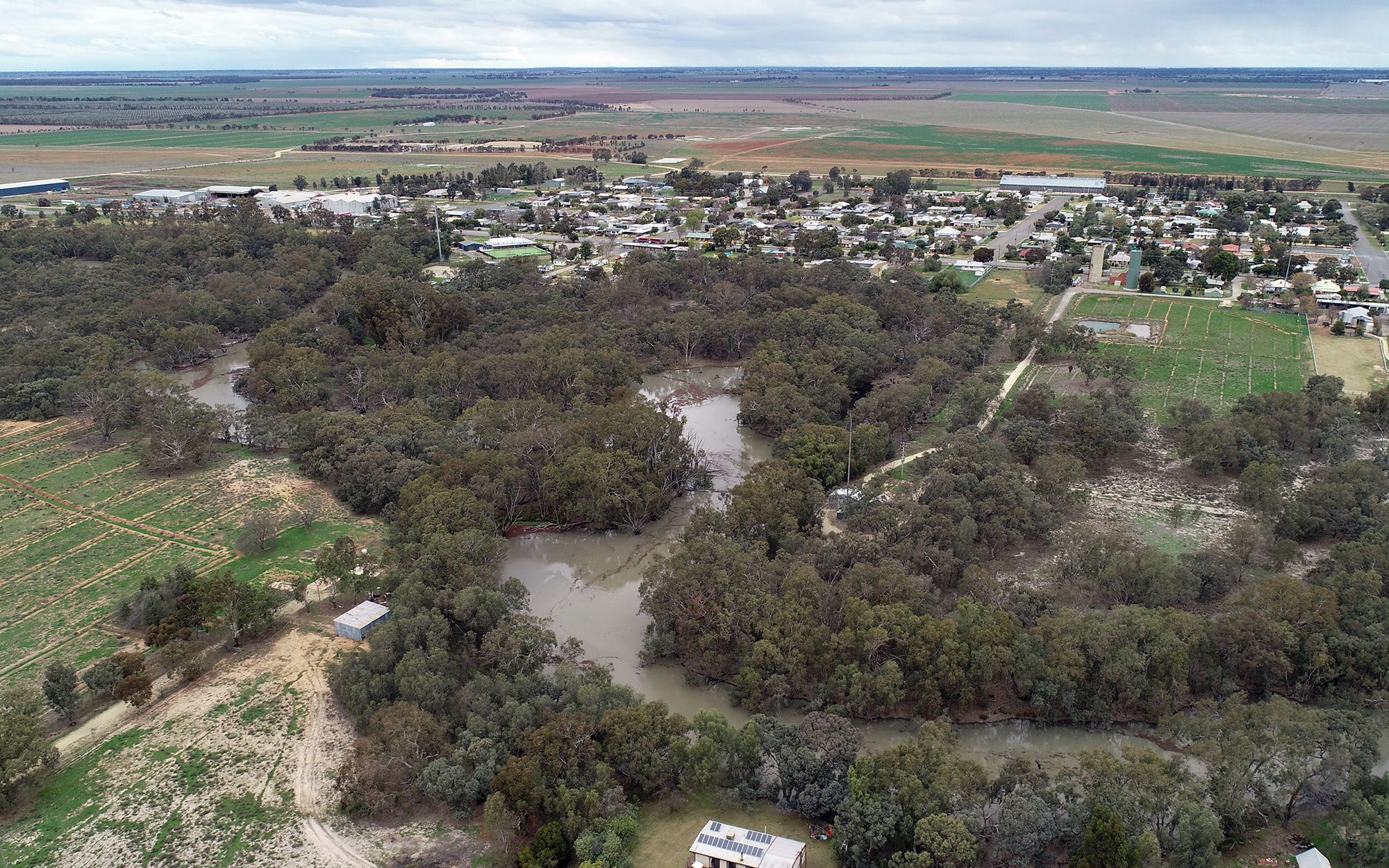 Billabong Creek at Jerilderie.