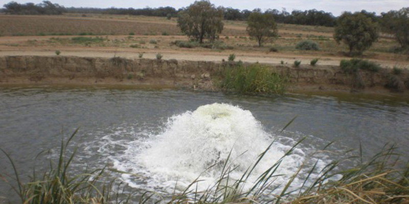 Bore pumping in a dam