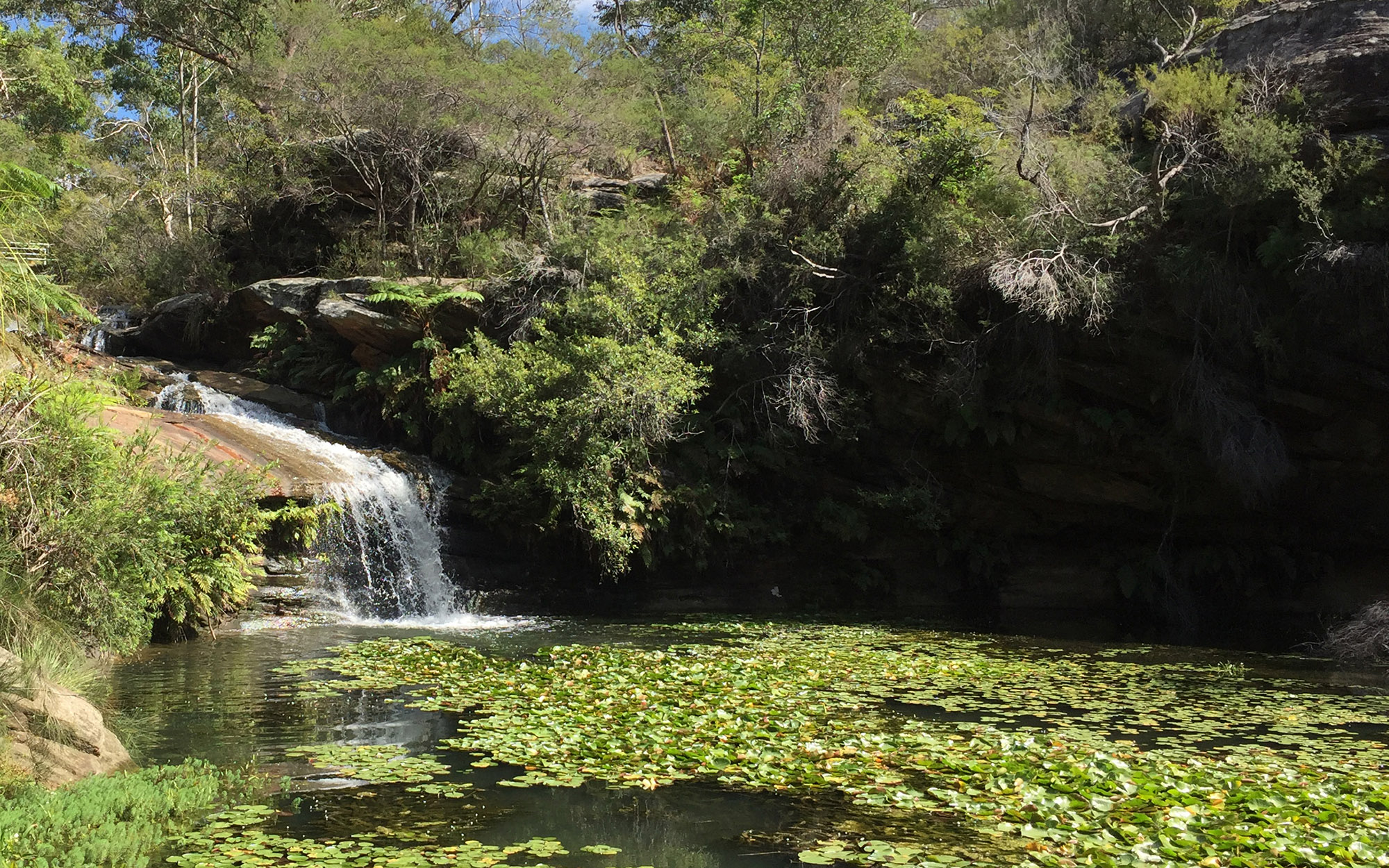 Waterfall and pool at Aboriginal cultural site - Manly Vale-Gayamaygal NSW. 