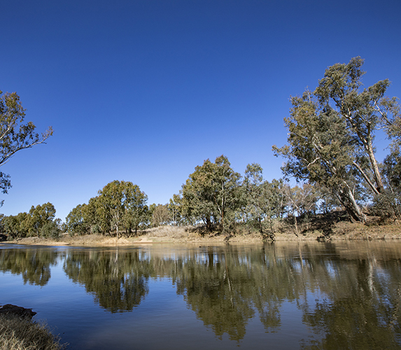 Macquarie River near Dubbo in NSW.