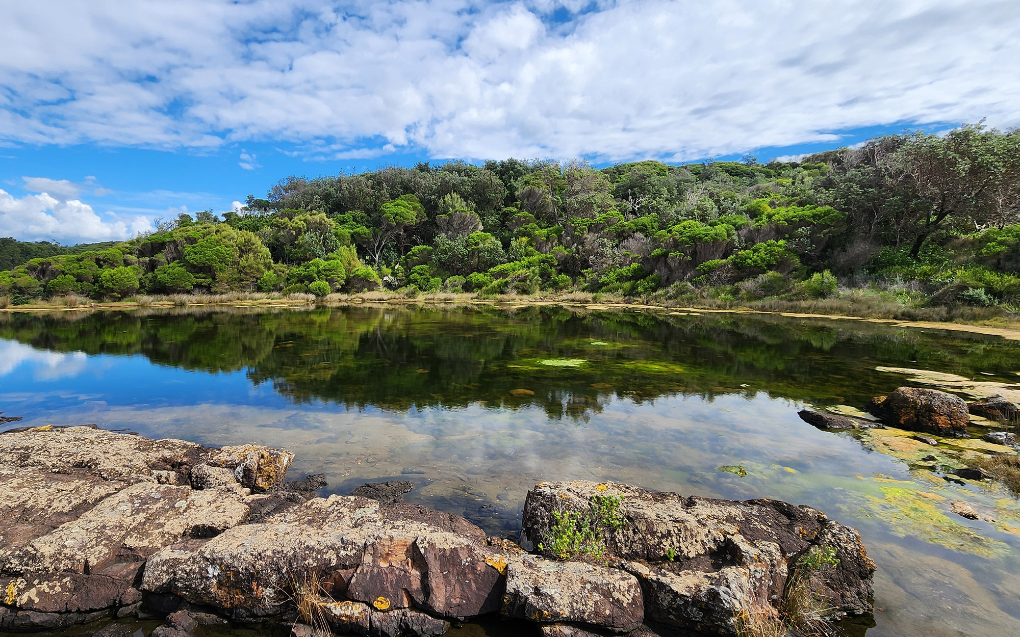 Bass Point Reserve, Shellharbour, NSW