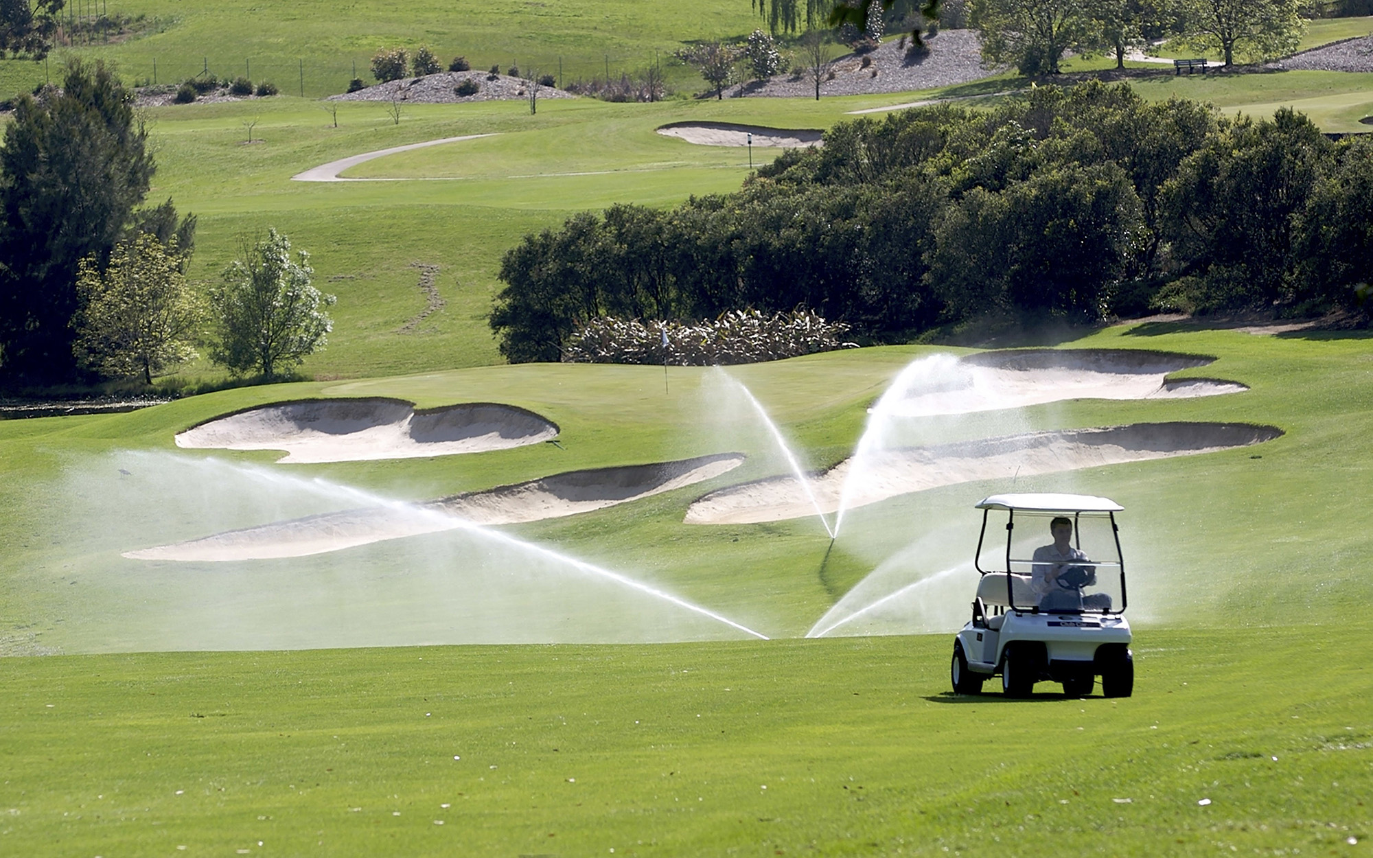 Sprinklers in use on a golf course.