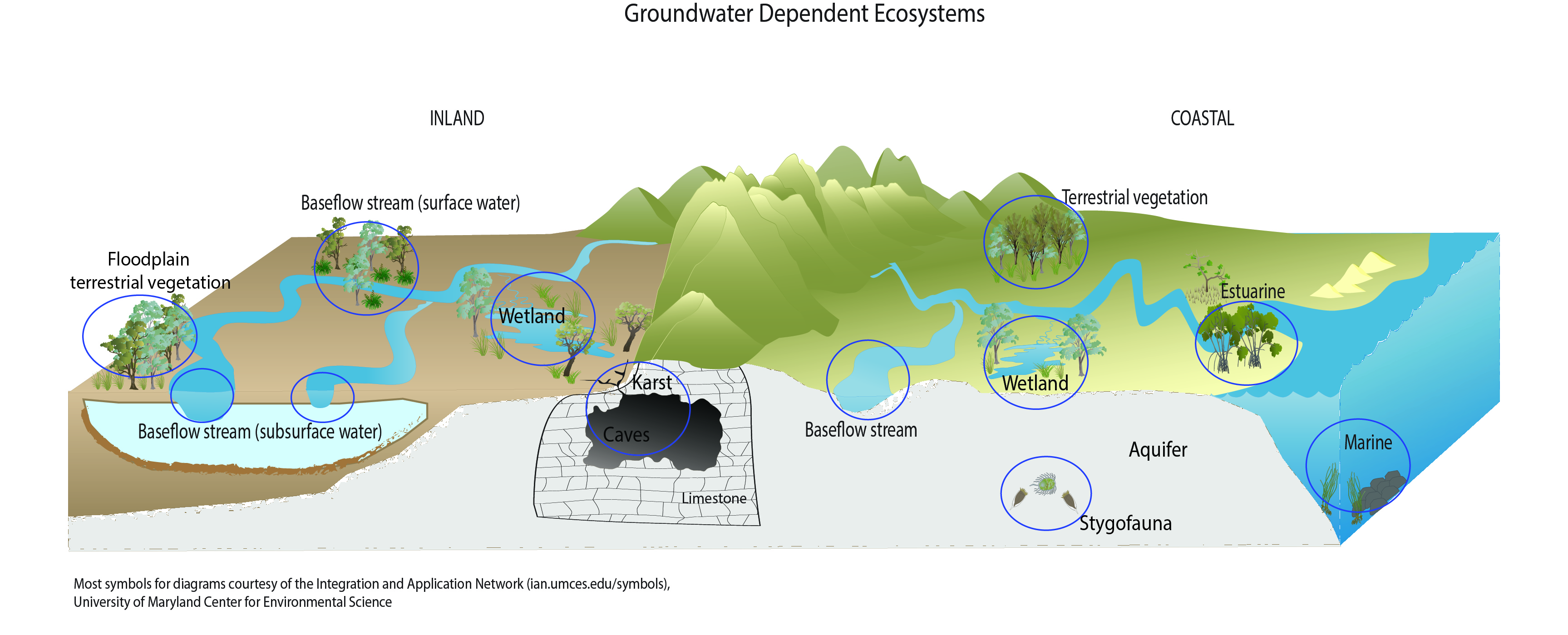 Groundwater Dependent Ecosystems