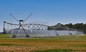 Irrigation farming.
