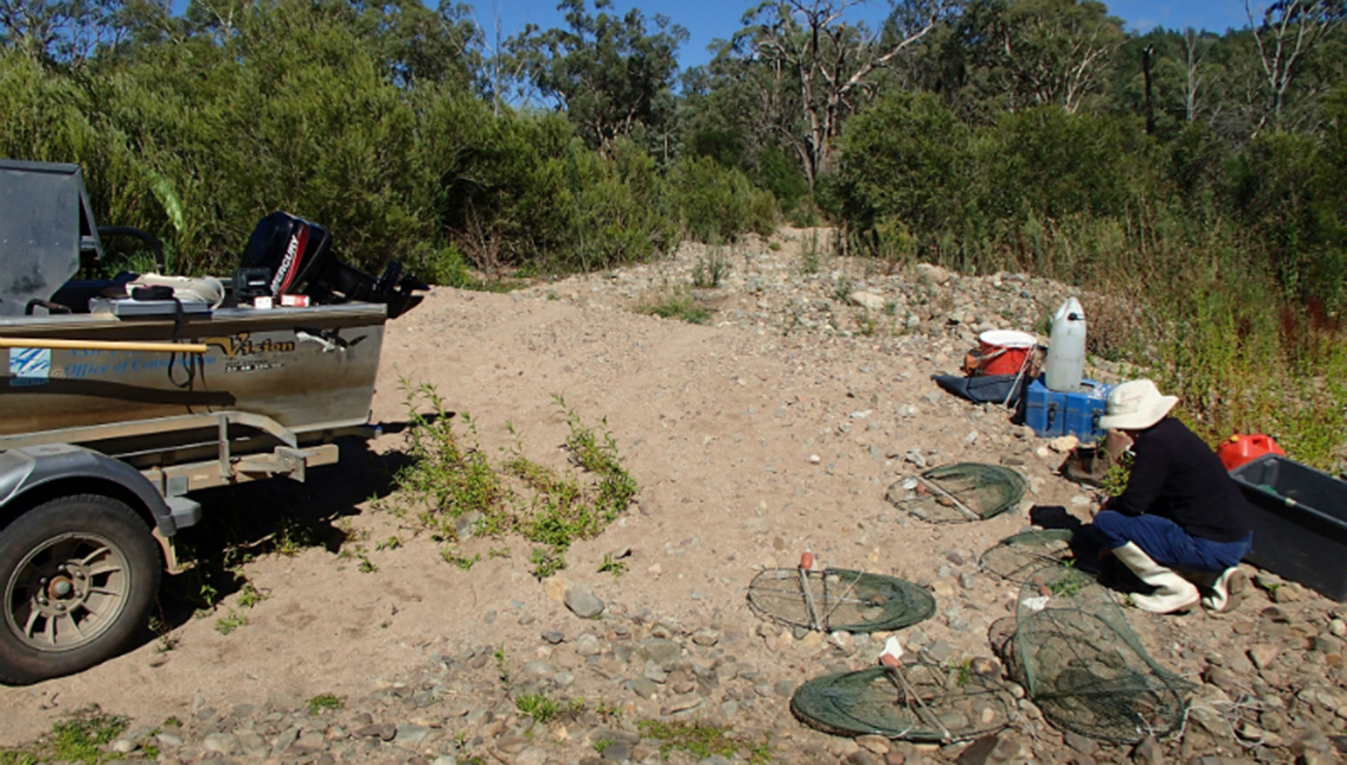 Fish sampling at Willis 