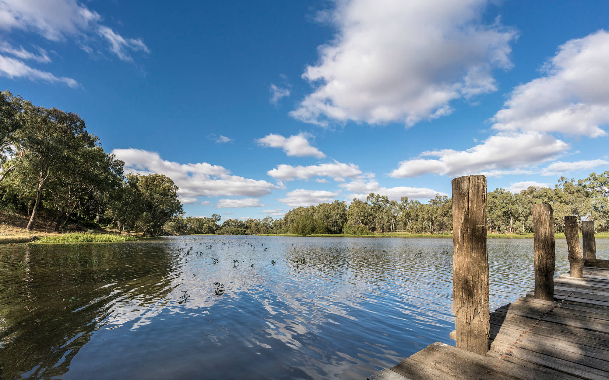 Gwydir Wetlands with a jetty in the foreground