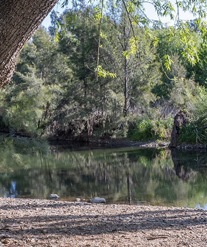 Peaceful reflections in Peel River, Nundle, NSW.